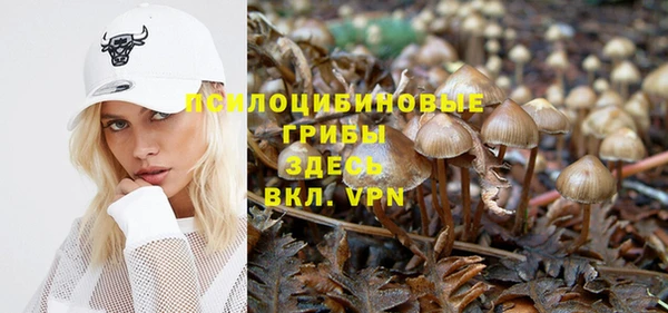 соль курить ск Алексин