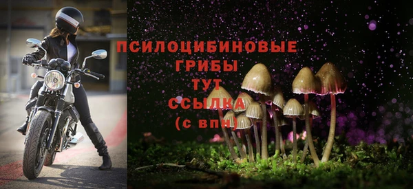 соль курить ск Алексин